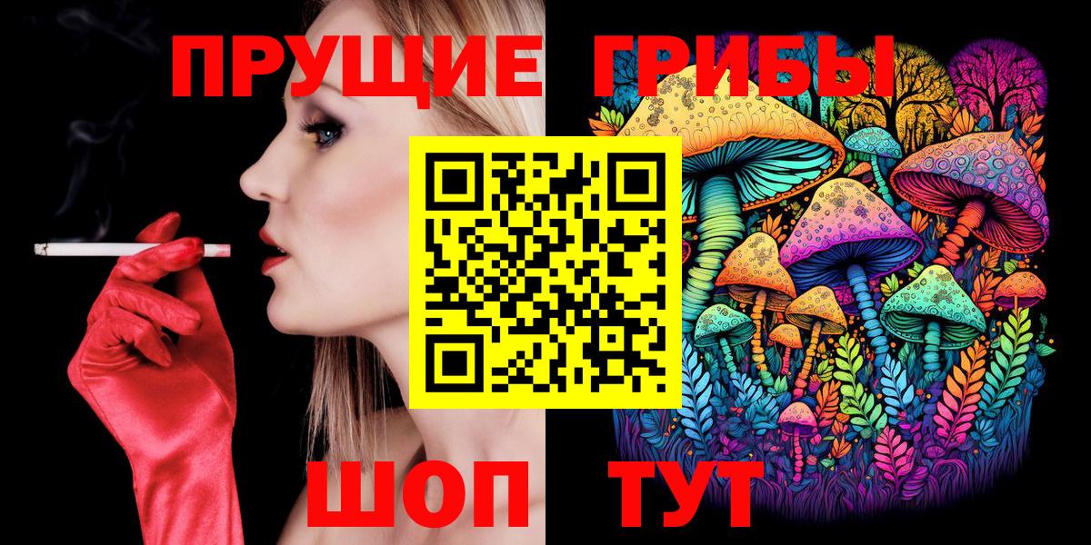 Альфа ПВП Великий Устюг
