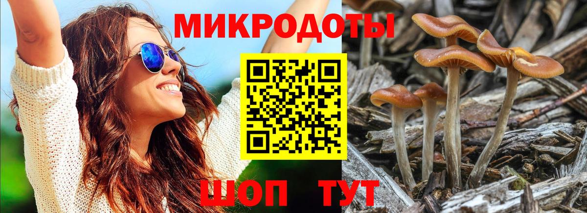 Великий Устюг  Галлюциногенные грибы Psilocybine cubensis  Вход с VPN 